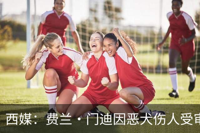 西媒：费兰·门迪因恶犬伤人受审，检方要求处以罚款和半年监禁
